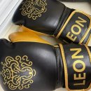 Fit5Gym 헬스케어 4 | (김해 킥복싱) 기다림 없는 1:1 수업 맞춤형 킥복싱 &amp; 헬스 김해 외동 레온짐(LEON GYM) 방문 후기