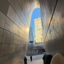 11545-05-10-30 | [쿠에른CUEREN 바자 2026] 목요일 1부 10시 후기 및 꿀팁 | EZE 05 ROME 08 득템