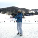 웰리힐리파크 이미지