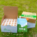 청춘농원 | 생방송투데이 청년사장 영덕 자연양계농원, 청춘이란 위치 정보