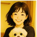 BICHON KOREA 이미지