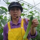 봉황슈퍼 이미지