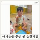 (주)진주랑이마트구미점 | 애기똥풀 문화센터 이마트 동구미 귤 촉감놀이 12개월 아기