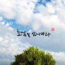 초심 - 유성구 신성로 95 | 초심