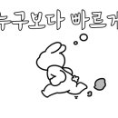 이루핏 이미지