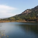 기찬동물병원 이미지