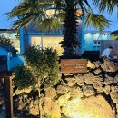 제주서쪽감성숙소 제주애물들다 이미지