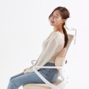 꼬꼬치 | [다니카] 꼬꼬치 허리 바른자세 쿠션, 내 오랜 허리 통증에 찾아온 한 줄기 빛!