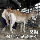꿈나무교육농장 티스토리
