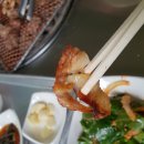 광양사슴농장 이미지