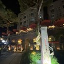 피플앤스토리 | 단대호수카페 피플앤스토리, 카메라와 LP판이 가득한 분위기 좋은 카페 방문 후기