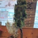 곽만근갈비탕상봉점 이미지