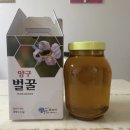 양구 벌꿀 이미지