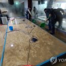 월평3동행정복지센터 이미지