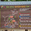 제295차 밀양 천황산재약산[100대명산]산행(9월23일) 이미지