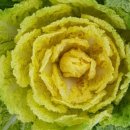 이명희농장 이미지