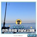 청해바다성인게임장 | 초보도가능한 인천항 쭈꾸미 배낚시체험 데이트 후기 및 비용 내돈내산