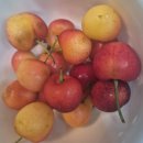 제주복집 | 창원 오륙도 복집 생참복 내돈내산 솔직 후기 제주 특산품 딱멘