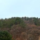 장호덕손만두 이천중앙점