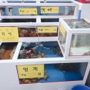 청해 회 수산 이미지