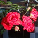 곡수보건진료소 이미지