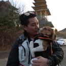 개밥주는 남자 이미지