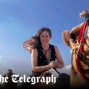 my drink museum 이미지