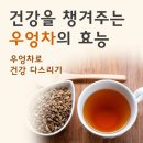 우엉차의 효능 이미지