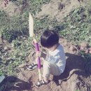 태균농장 이미지