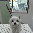 플로이몽 이미지