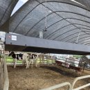 성원축사 이미지