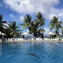 로얄렌트카 이미지