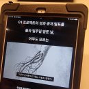 아모레 - 19623 | 아모레