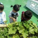 코끼리자연어린이집 이미지