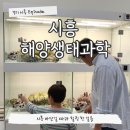 엠티브이16로 | 해양생태과학관 경기도 시흥 거북섬 아이랑 가볼만한 곳