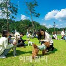 강아지숲 박물관 이미지