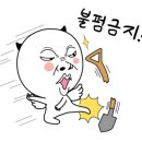 데이빗 복싱체육관 이미지