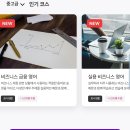 승무원이 알려주는 쉬운 영어회화 | 링고라 영어회화어플 무료체험 솔직 후기와 단기 실력 향상 루틴