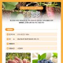 일등농장 이미지