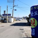 군산활어회 이미지