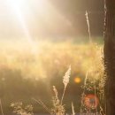 자유-희망 이미지