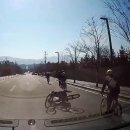 자전거도로 옆 이미지