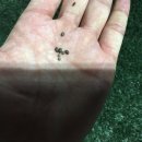 교하체육공원 이미지