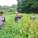 명예훼손 벌금 4백? 그거 내고, 마을이 성폭력 해결하자! 이미지