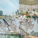 석촌근린공원 | 서울 가볼만한곳 석촌호수 벚꽃 축제 후기 포토존 추천