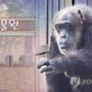 동물원 아시아경제
