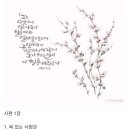 (주)시냇가에심은나무 이미지
