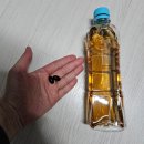 본케어코리아 | 심한 딸이 함께 챙기는 여성 건강 케어, 직접 먹어본 "우먼스 프리미어 올인원" 후기_매나테크 코리아