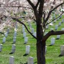 세종 행정사 합동사무소 이미지