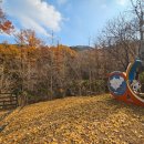 서운산자연휴양림 이미지